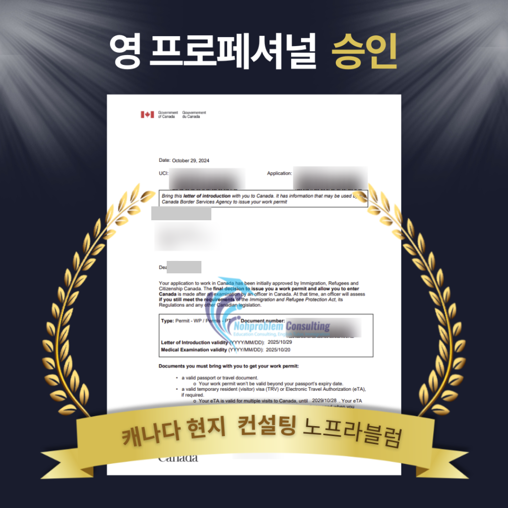 캐나다 영프로페셔널 승인 후기